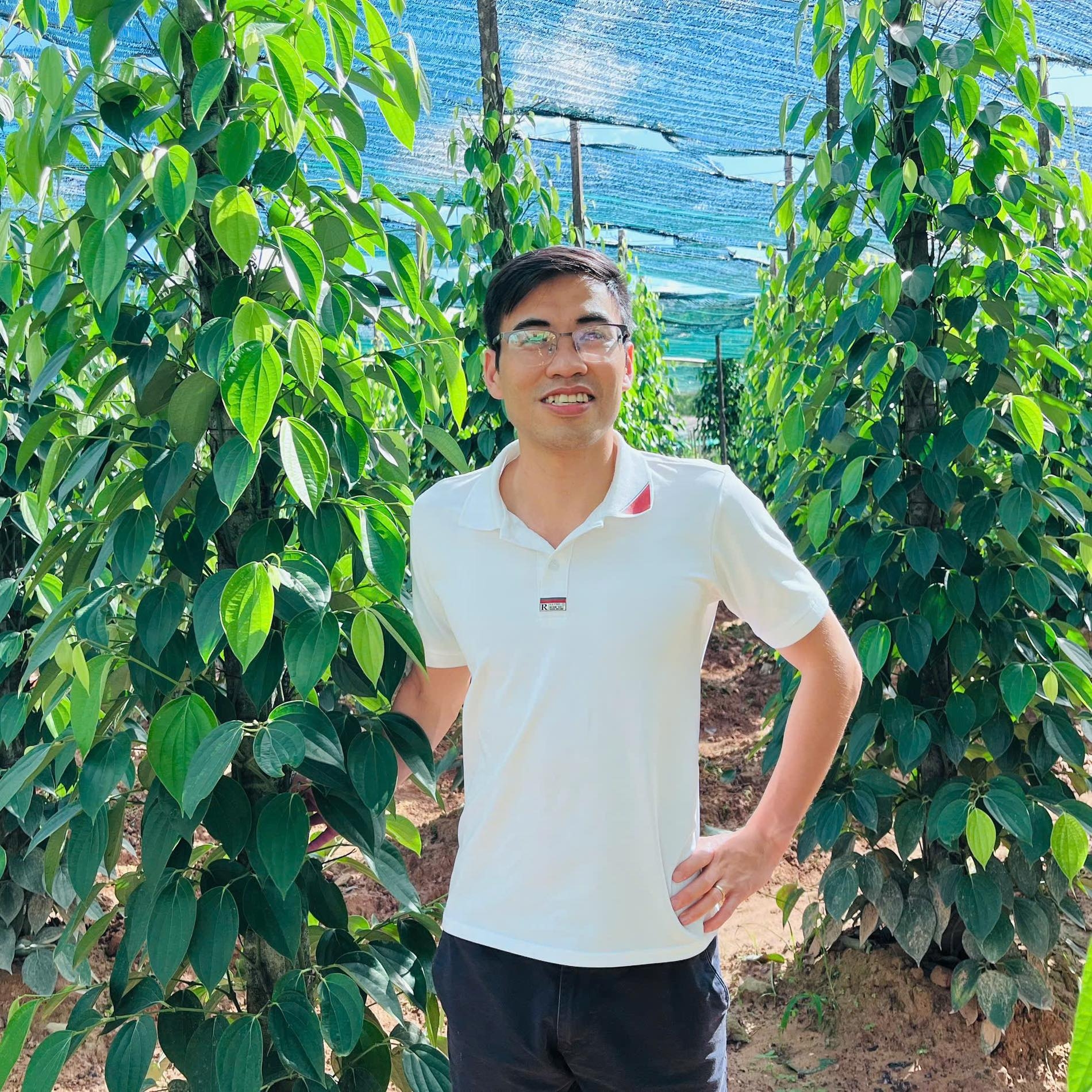 Tư vấn Quang Đạt